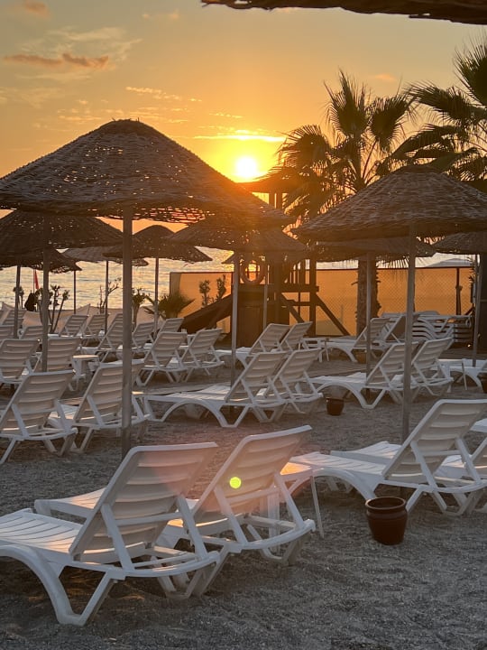 Strand Dizalya Palm Garden