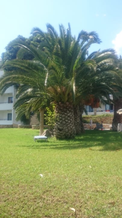 Gartenanlage Ekaterini Hotel