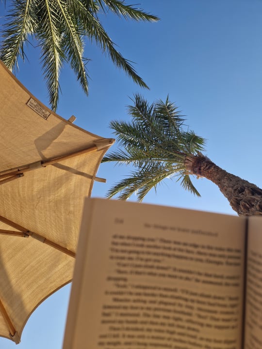 Ausblick Serenity Alpha Beach