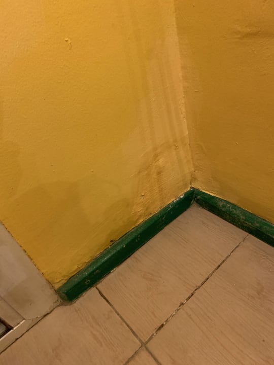 Zimmer Giftun Azur Resort