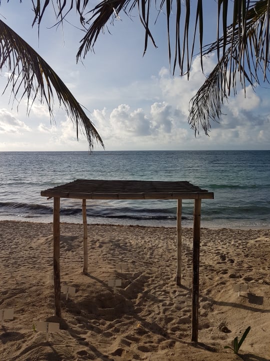 Strand Akumal Bay Beach & Wellness Resort