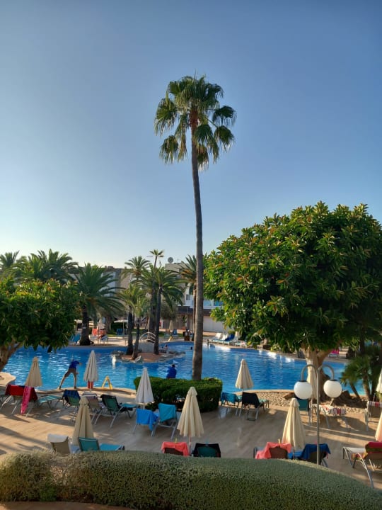 Pool Alcudia Garden Aparthotel