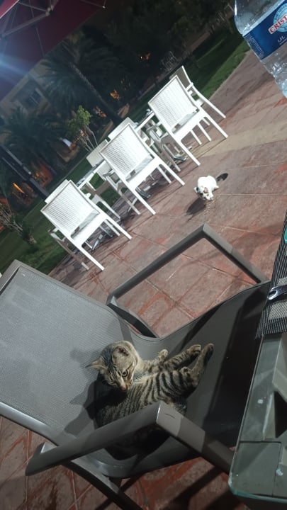 Sport & Freizeit Skanes Serail Aquapark