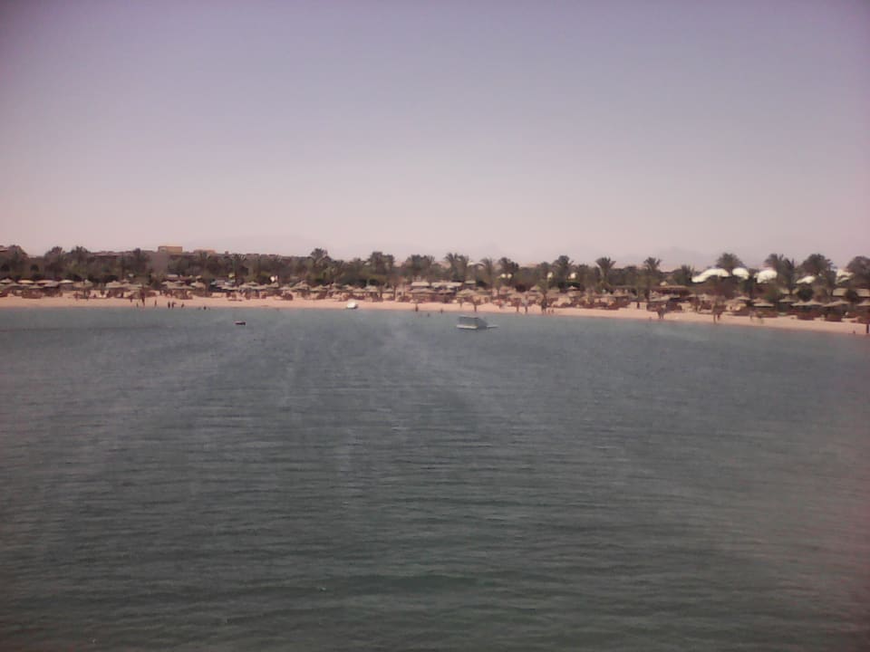 Ausblick Desert Rose