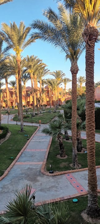 Gartenanlage Jaz Makadi Oasis Resort