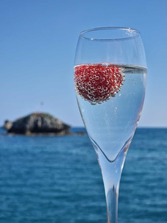 Gastro Granada Luxury Okurcalar