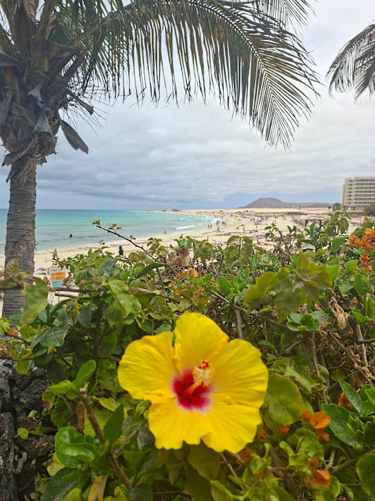 Strand Hotel Riu Palace Tres Islas