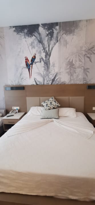 Zimmer Belek Beach Resort Hotel