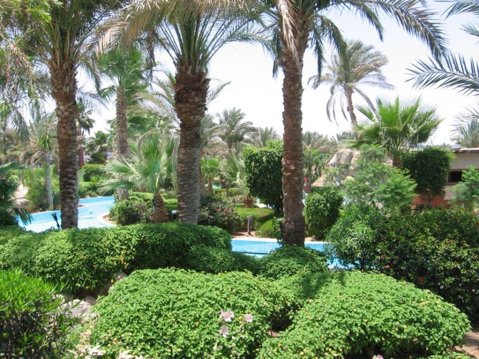 Территория отеля Pickalbatros Golf Beach Resort