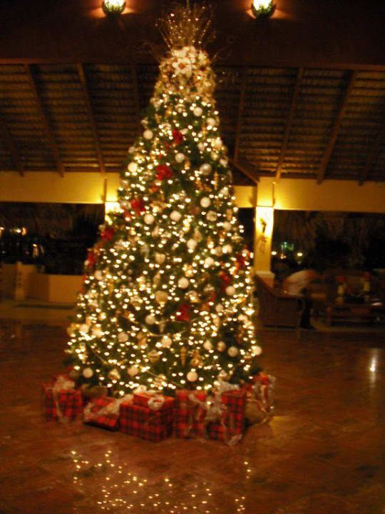 Karibischer Weihnachtsbaum Marien Puerto Plata