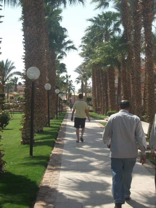 Weg zum Bungalow Beach Albatros Resort