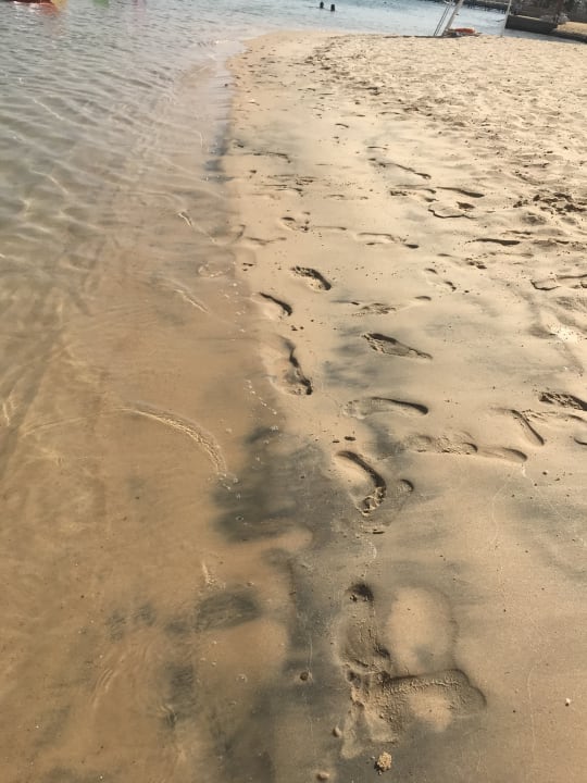 Sandqualität Marriott Hurghada Beach Resort