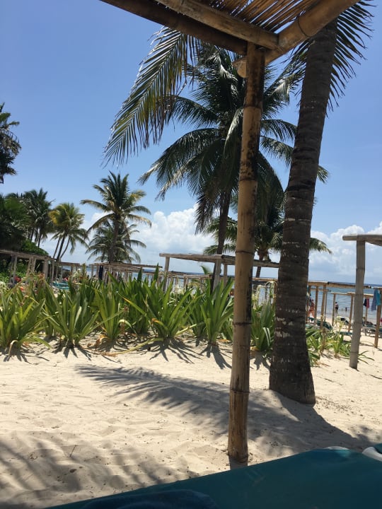 Strand Akumal Bay Beach & Wellness Resort