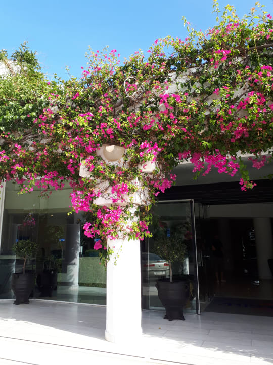 Außenansicht Anissa Beach & Village