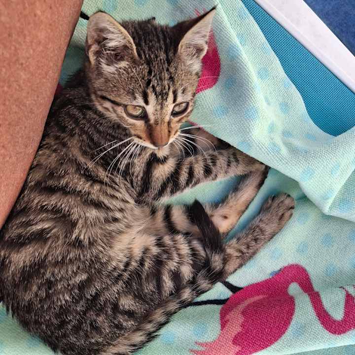 Pool Diamond Premium Hotel & Spa