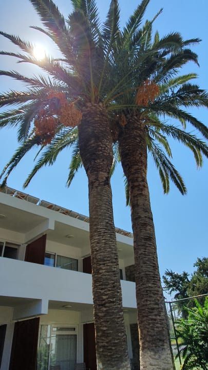 Gartenanlage Civitel Creta Beach