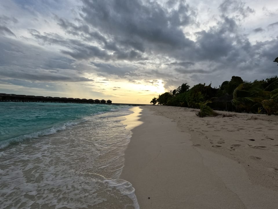 Strand Filitheyo Island Resort