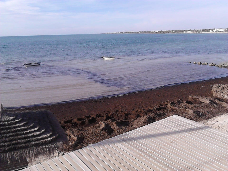 Bootsanlegestelle Hotel El Mouradi Djerba Menzel