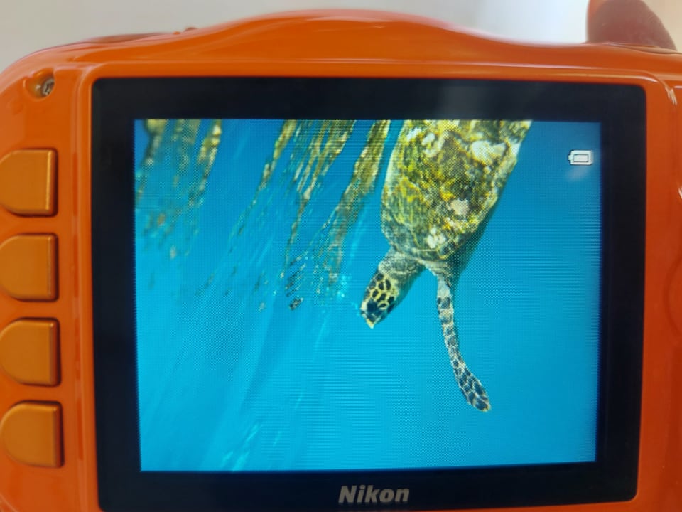 Sport & Freizeit Cinnamon Dhonveli Maldives