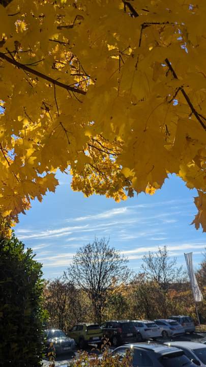 Gartenanlage Hotel Reiters Supreme