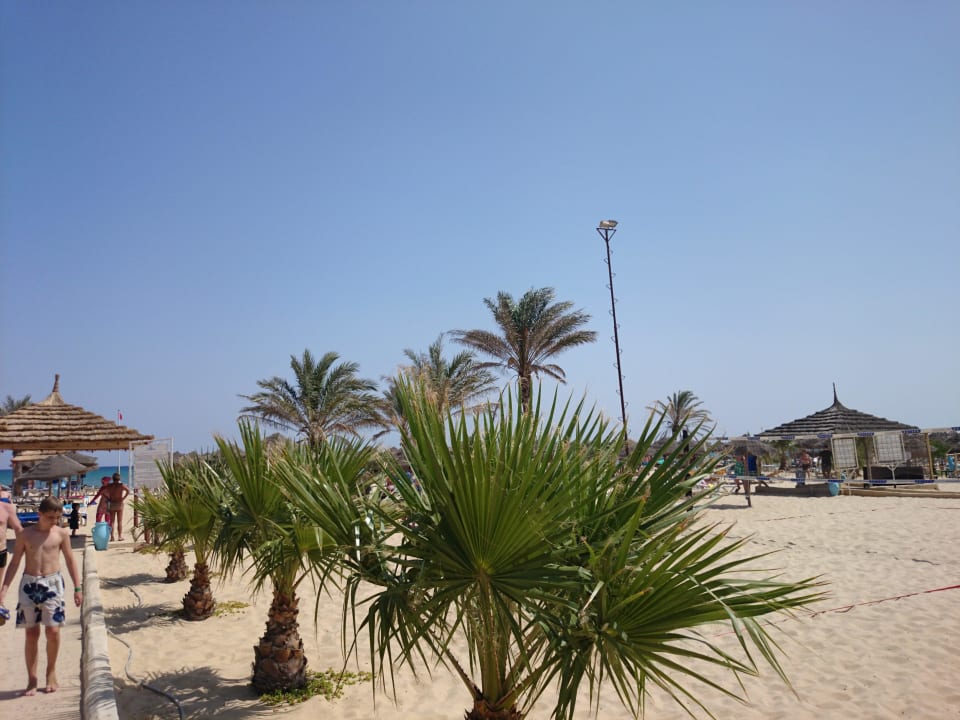 Hotel Paradis Palace   Hotel Paradis Palace