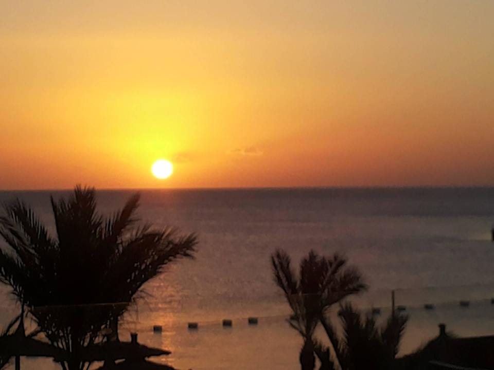 Sonnenaufgang Beach Albatros Resort