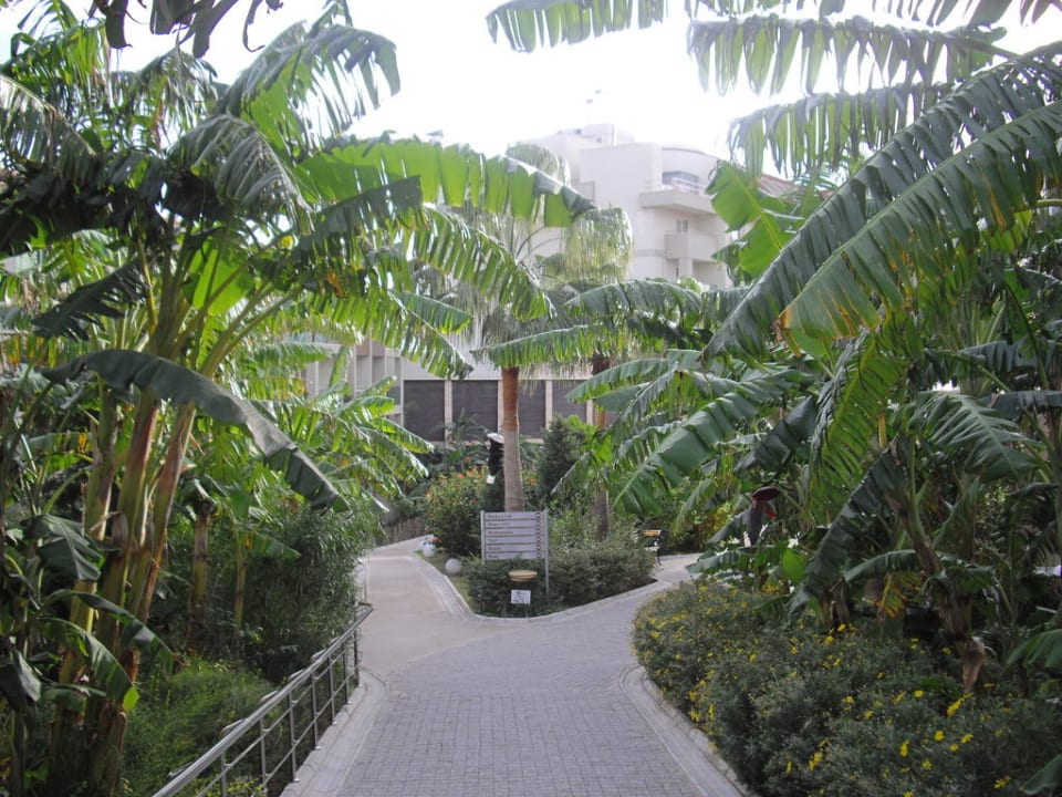 Gartenanlage Sealife Buket Resort & Beach