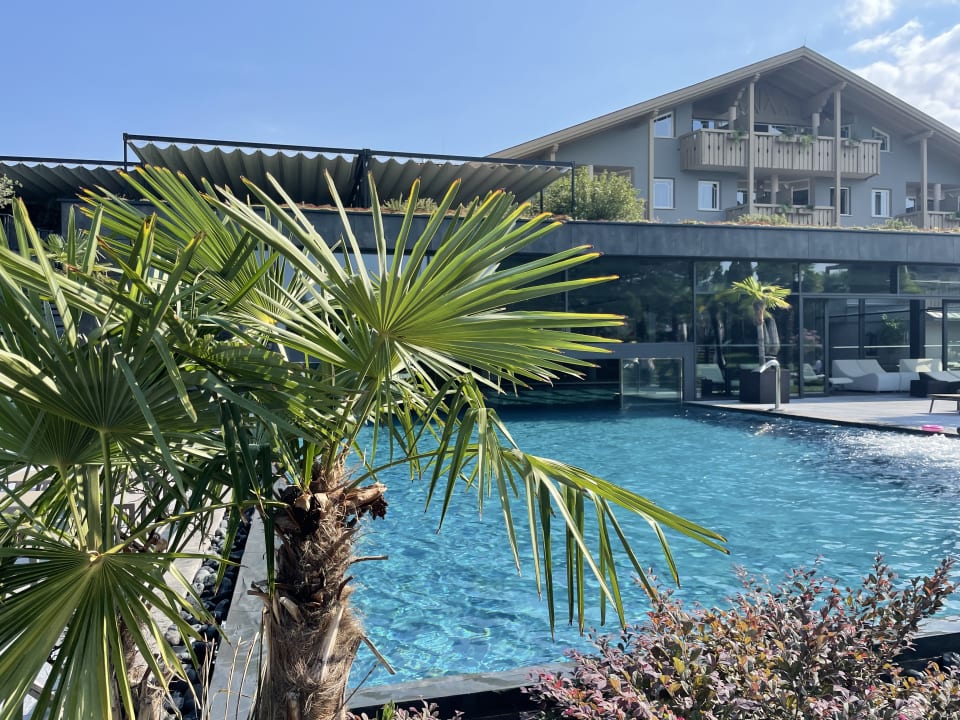 Pool Weinegg Wellviva Resort