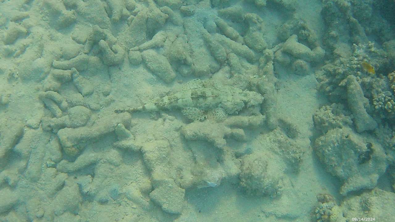 Strand Makadi Spa - Adults only