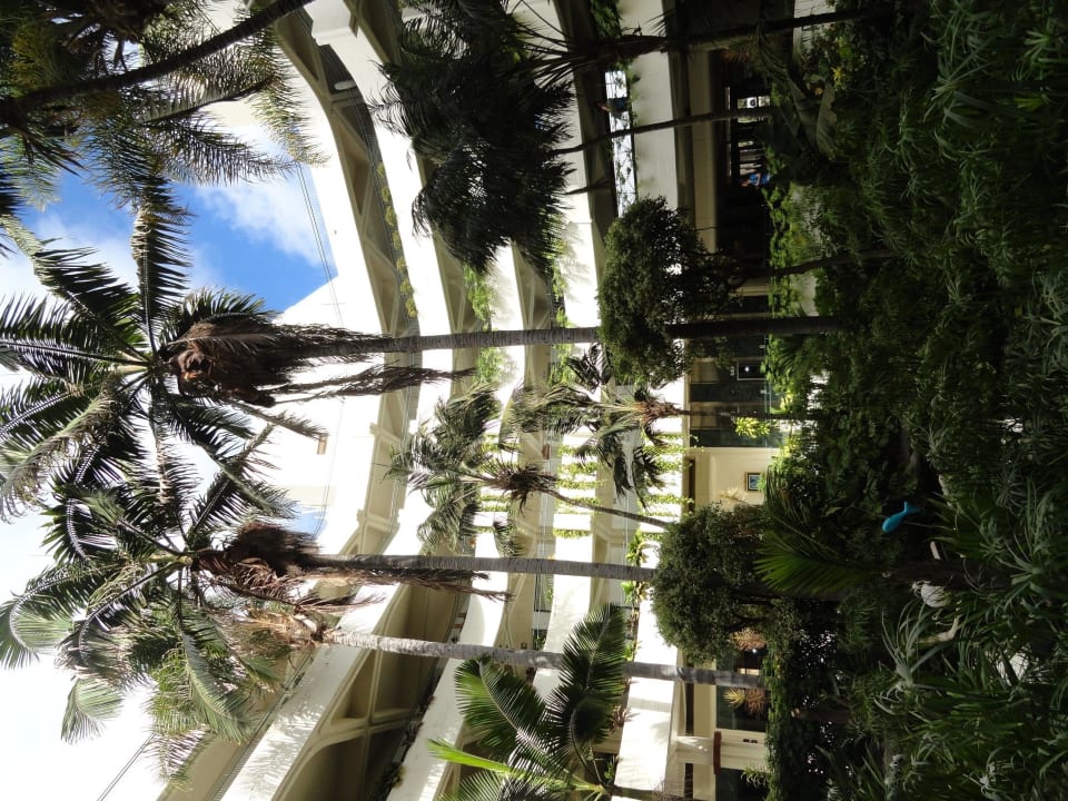 Begrünter Innenhof Paradisus by Meliá Salinas Lanzarote