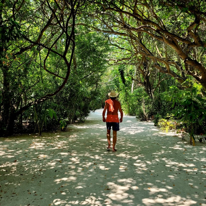 Gartenanlage Summer Island Maldives