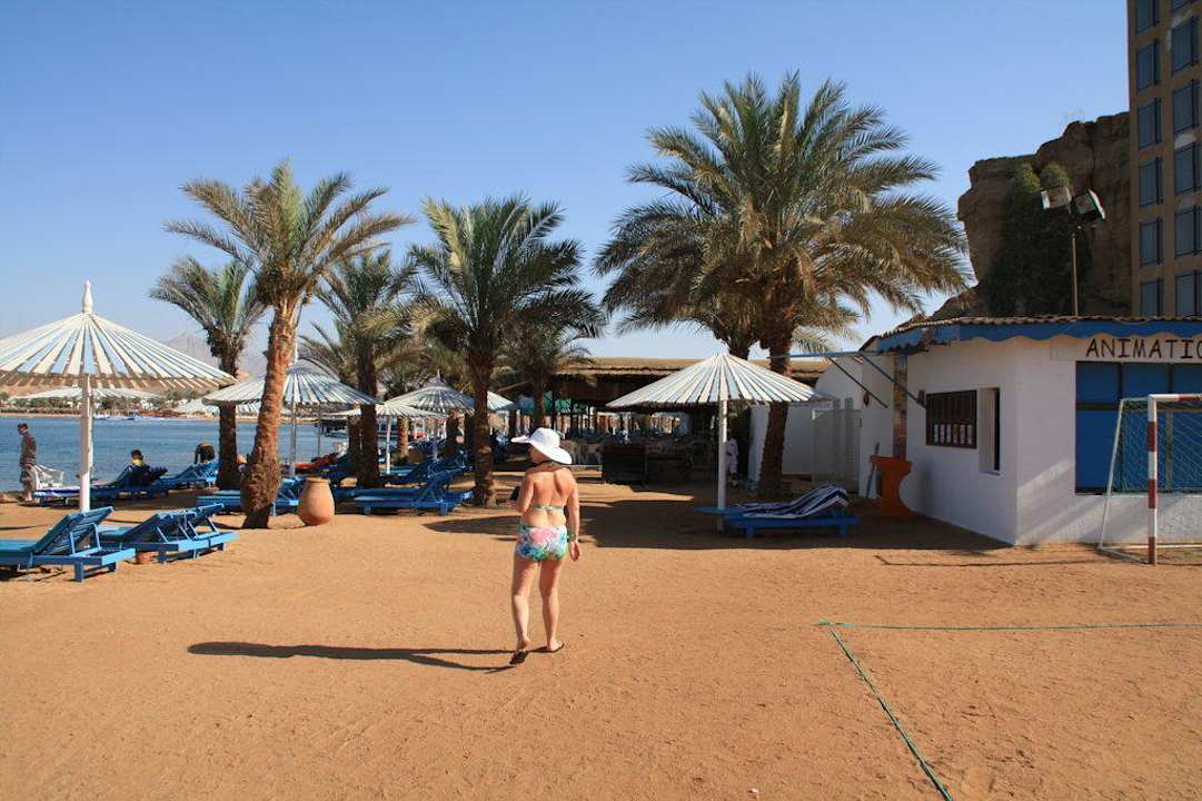 Auf zur Beachbar Albatros Sharm Resort