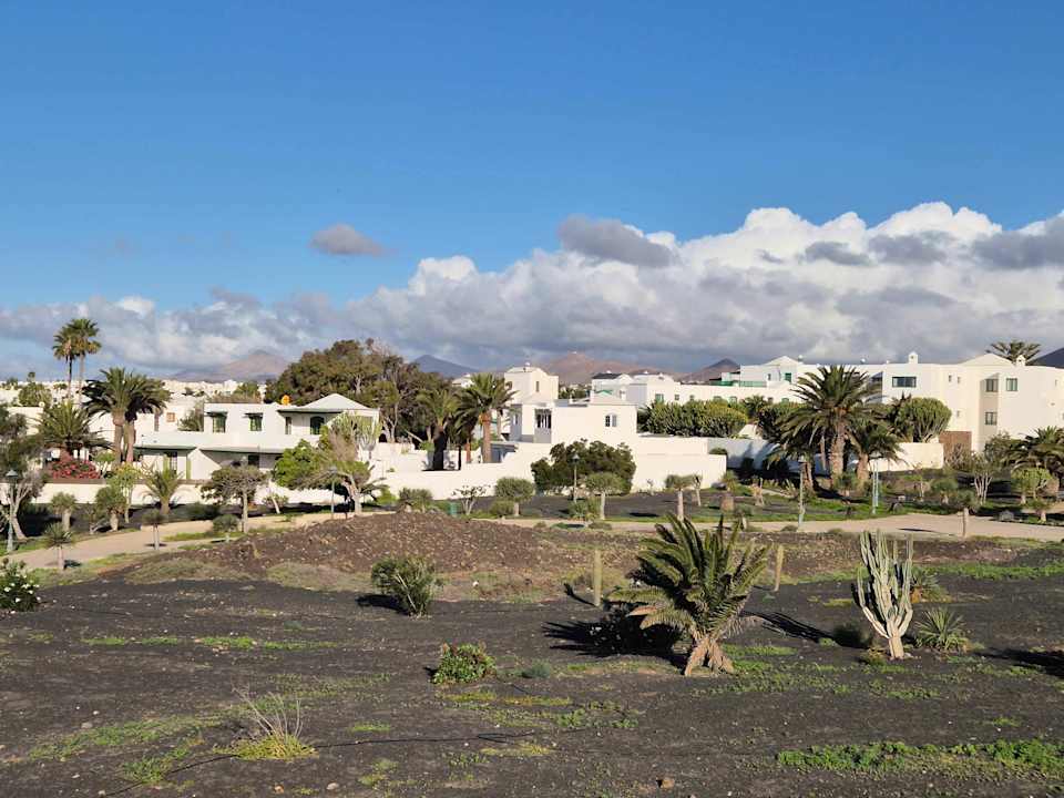 Ausblick allsun App.-Hotel Albatros