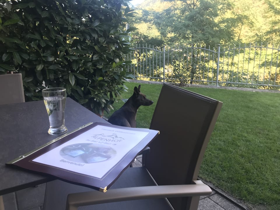 Sonstiges Alpenhof Lodge Passeiertal