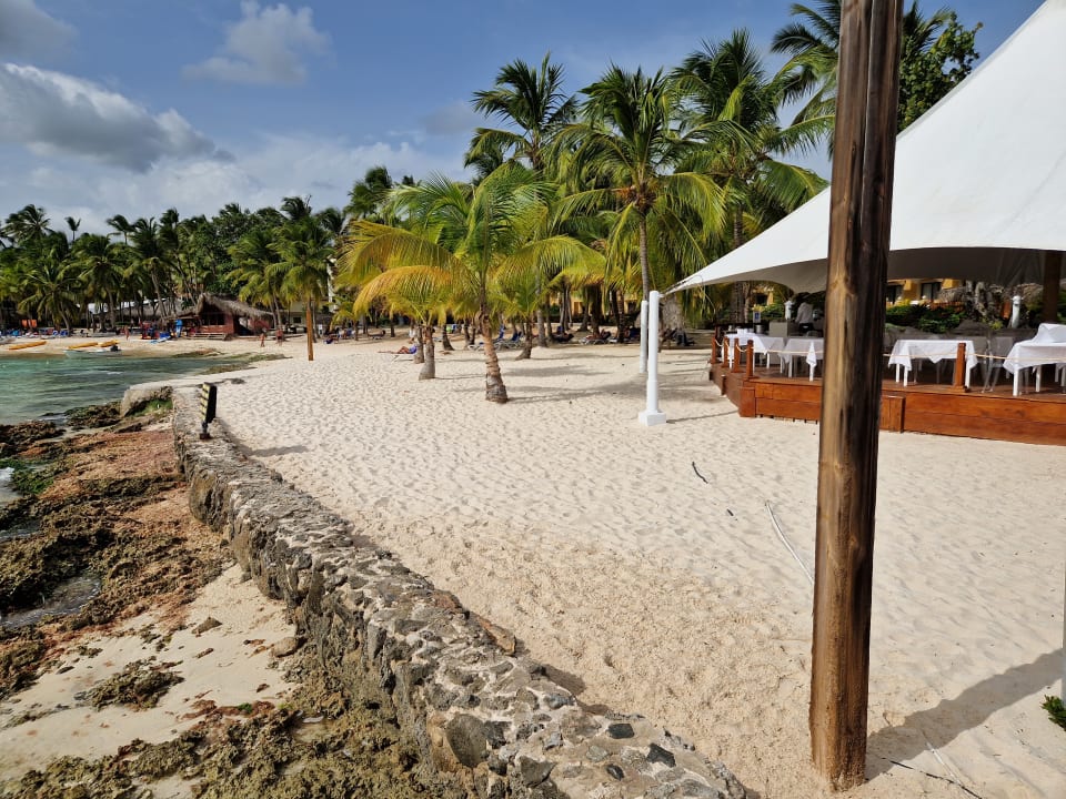 Strand Hotel Viva Dominicus Palace by Wyndham-All Inclusive Resort