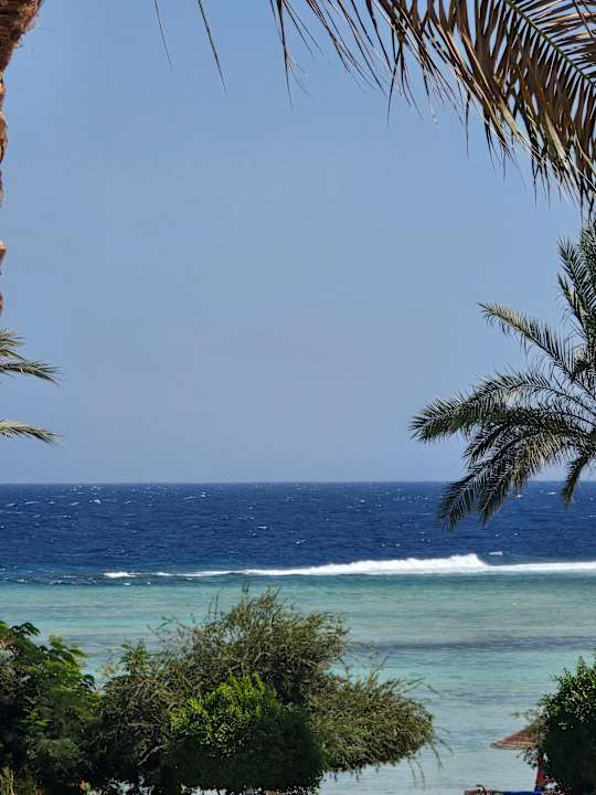 Strand TUI MAGIC LIFE Kalawy