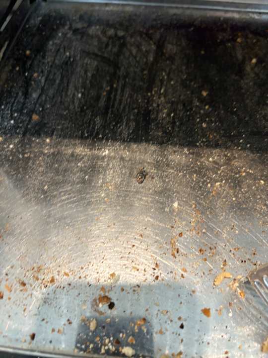 Sonstiges Hotel Riu Palace Boavista