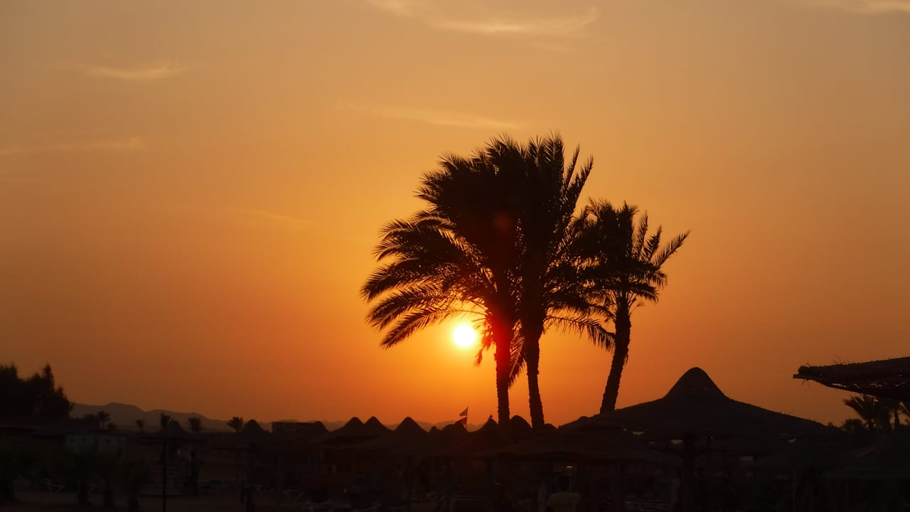 Ausblick Malikia Resort Abu Dabbab