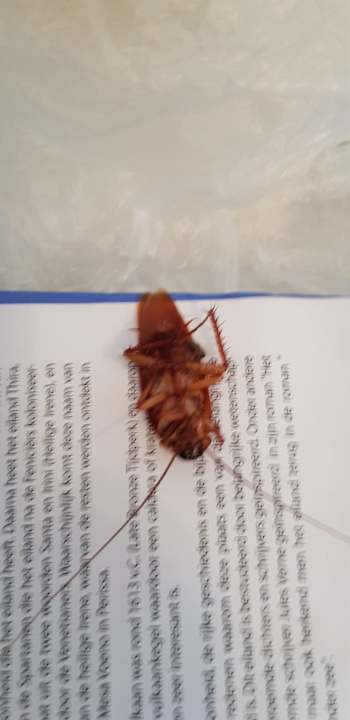 Zimmer Hotel La Palma