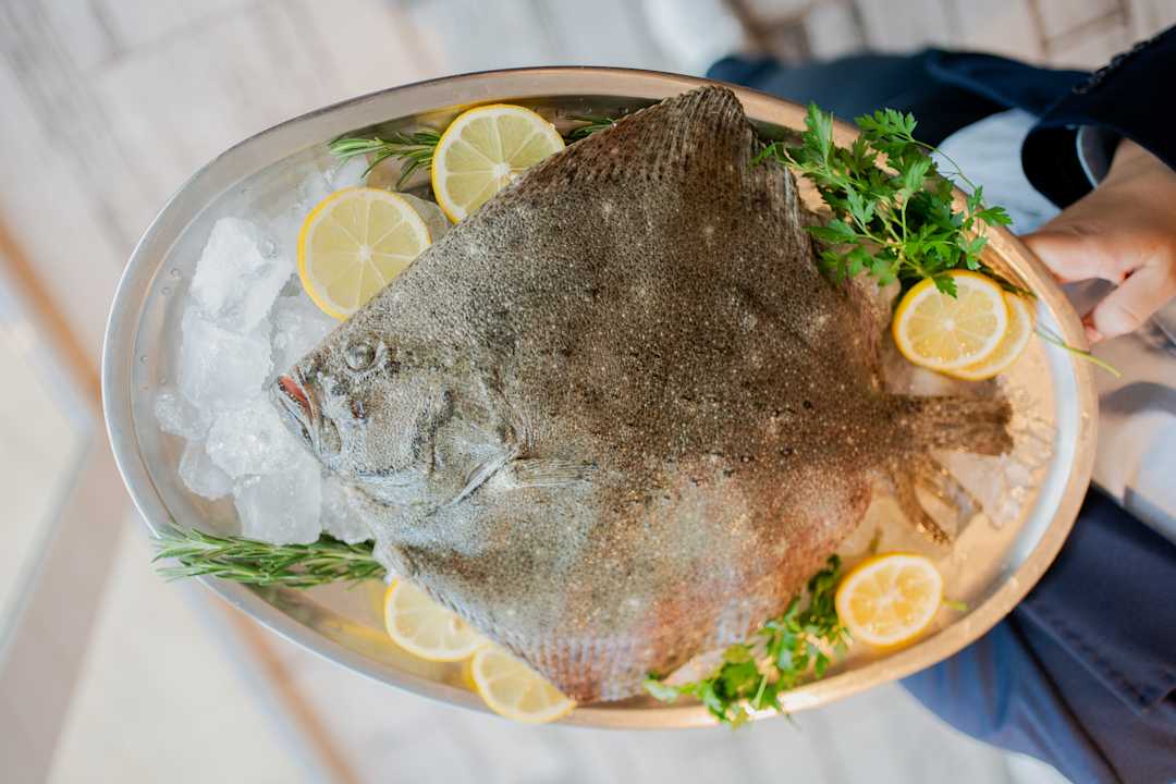 Gastro Hotel Catalonia Mirador des Port