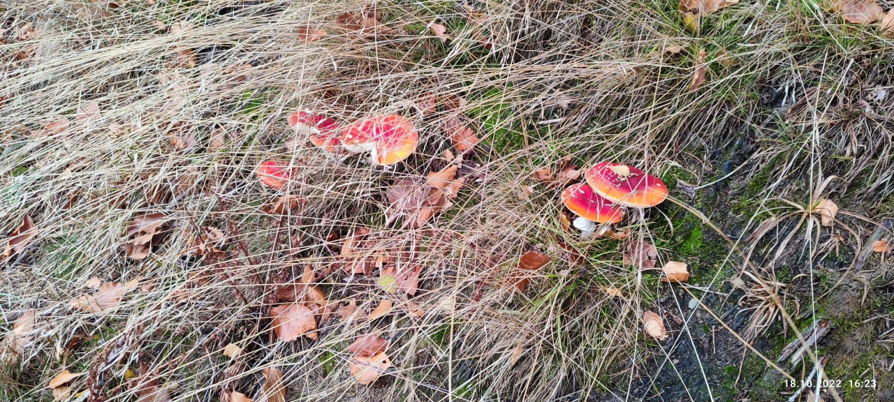 Ausblick Berghotel Hoher Knochen