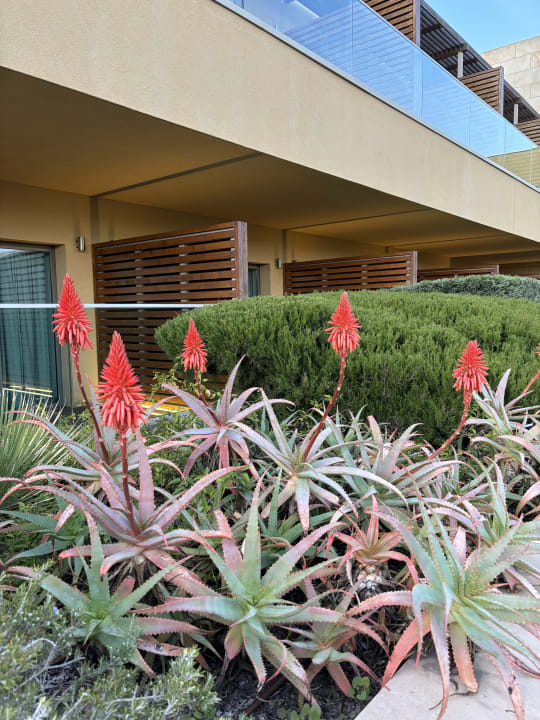 Zimmer Hotel Epic Sana Algarve