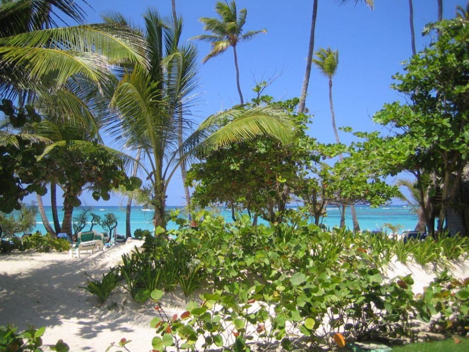 Strand Grand Palladium Punta Cana Resort & Spa