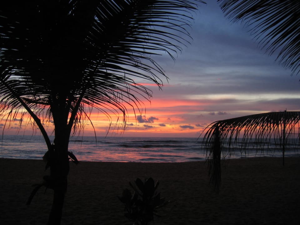 Sonnenuntergang Mermaid Hotel & Club