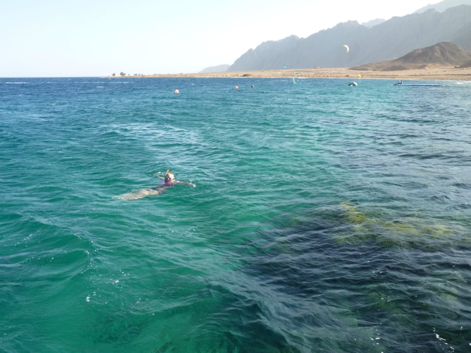 Schnorcheln am Riff Ecotel Dahab Bay View Resort
