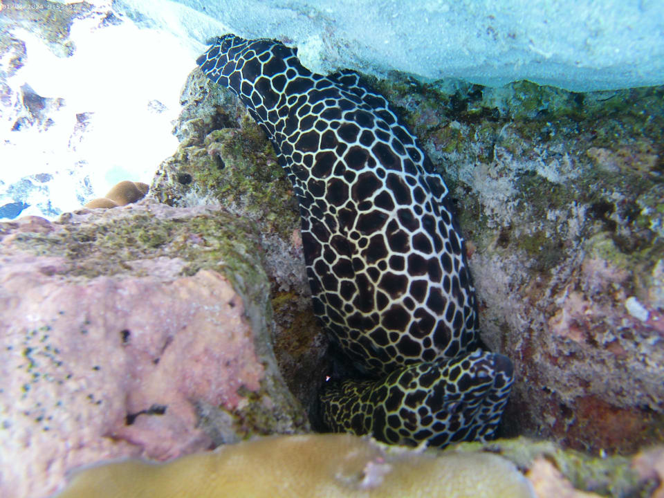 Sport & Freizeit NH Collection Maldives Reethi Resort