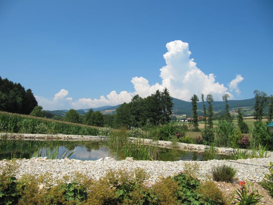 Ein herrlicher Sommertag Zur Grünen Au