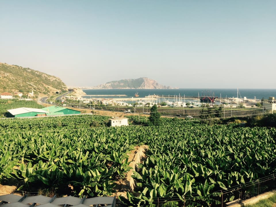 Ausblick La Finca Marina