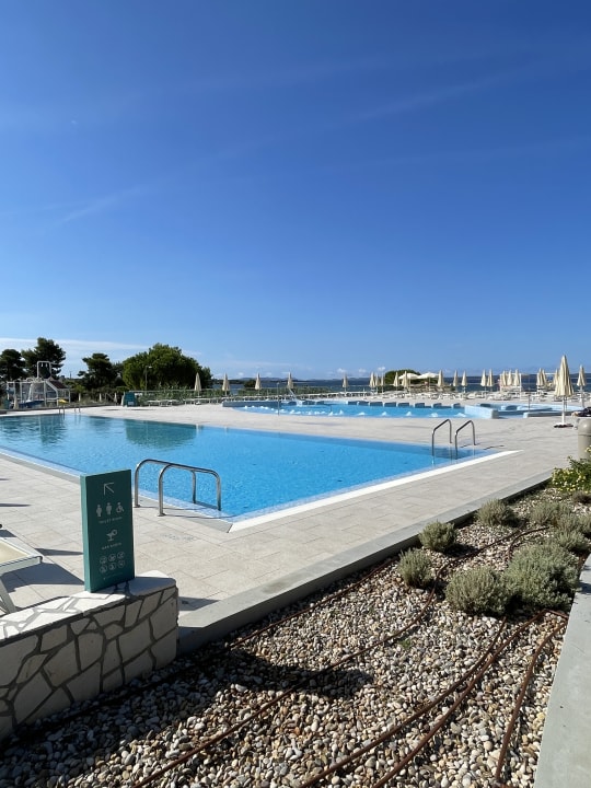 Pool Apartments in Zaton With Pool