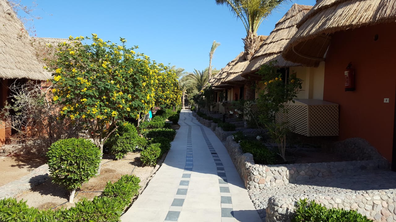 Hotelanlage Panorama Bungalows Resort El Gouna